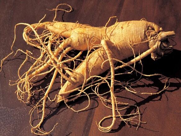 La racine du ginseng