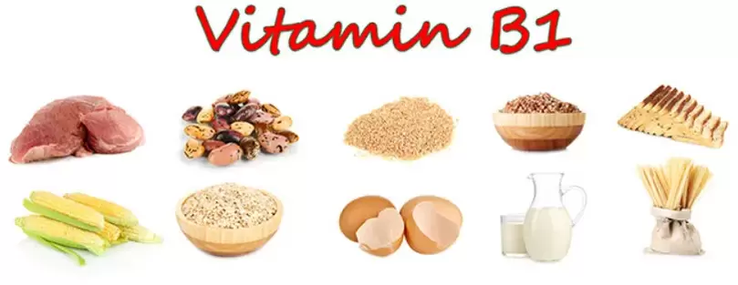 vitamine B1 dans le produit pour la puissance