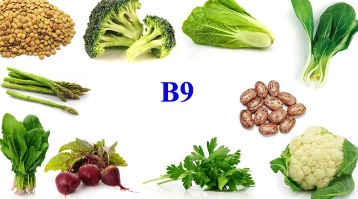 vitamine B9 dans le produit pour la puissance